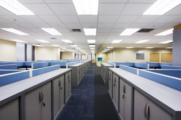 Corporate Office Renovation